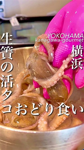 横浜の人気韓国料理店「キムチャチャ」活タコの踊り食いとチュクミサムギョプサル