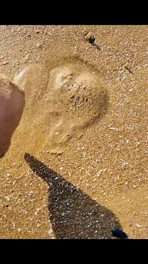 Fishing Techniques: Catching Burrowing Eels at the Beach