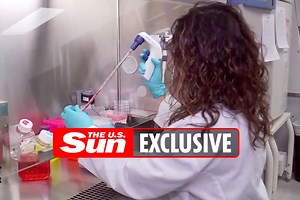 Inside lab where you can clone your pet for $50,000 as demand spikes