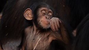 Evolution Earth - Episode 1 Preview - Twin Cities PBS