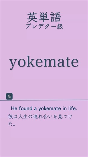 英単語プレデター級#英単語#英語学習 #TOEIC対策#英検対策＃共通テスト対策 #高校英語#大学受験#英語初心者 ＃語彙力強化#リスニング練習 ＃聞き流し英語＃毎日英語＃英語勉強法