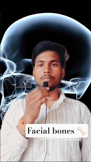 Facial Bones explained clearly | 14 bones of face for anatomy & nursing exams” #bones