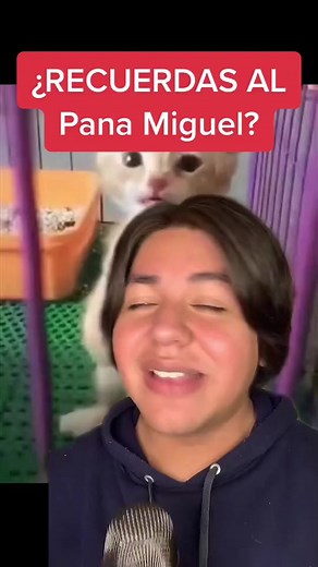 Respuesta a @acduzcan132 Se ve bastante fresco  #fyp #brandonbryler #elpanamiguel #meme #2020 #cheems #porta #teacuerdas #generacionz #viral | Bnrudo880 | Facebook