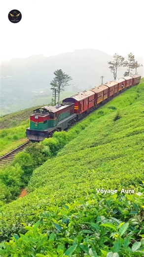 Nanuoya Train Ride | Gateway to Nuwara Eliya | Sri Lanka Scenic Railway | Voyage Aura