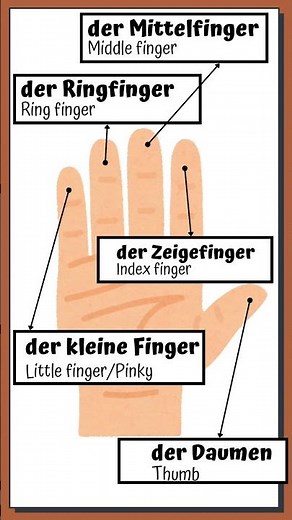 Learn German: Finger Names in German | Fun & Easy Vocabulary #germanlessons #languagelevel