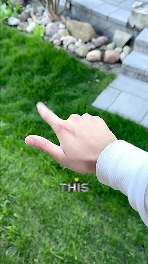 Gestrends™️ on TikTok