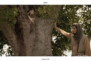 Series Biblicas on Reels