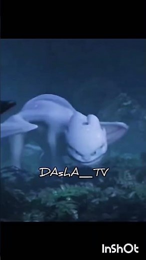 The Repetitive Sounds of the Light Fury🤍🐾