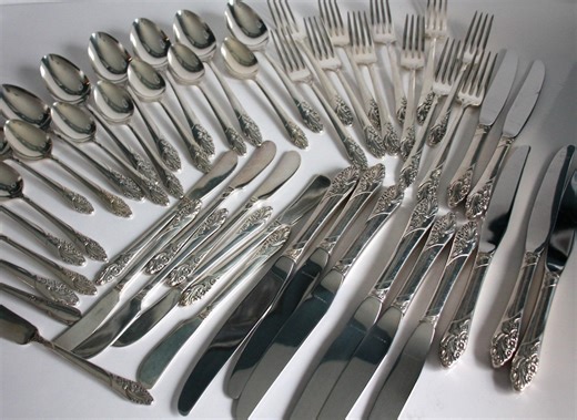 Silverware Set Evening Star Pattern 49 Pieces Oneida Community Plate - Etsy Canada