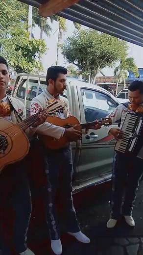 211K views · 2.9K reactions | Intro de "El Palomito" 流 | Mariachi Camoapa | Facebook