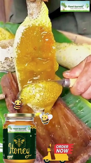 Honey - Nature’s Sweetest Gift, Rich in Nutrients & Antioxidants | From the Hive to Your Home