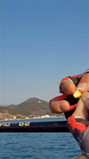 A tip for threading a single corn bait from Cheon Sae-roi