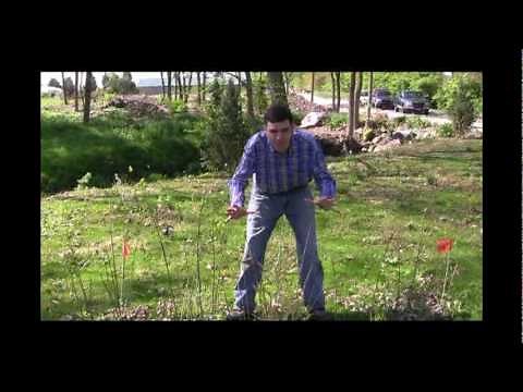 Growing Bamboo: The 3 Stages of Bamboo Video