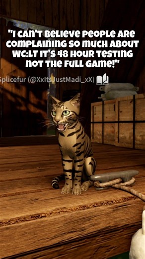 Should've posted this while it was open but I saw a LOT of complaints on tiktok! || #wcue #wclt