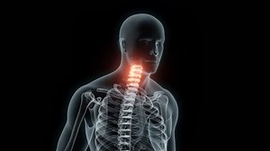 3d Rendering Medical Animation Cervical Vertebrae Stock Footage Video (100% Royalty-free) 1100303253 | Shutterstock