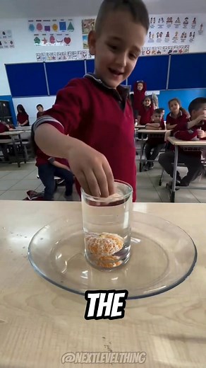 96K views · 515 reactions | The Orange Challenge How Physics Wins the Game | Rewind Room | Facebook