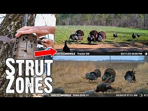 Proven Turkey Hunting Strategy - Find Strut Zones FAST!