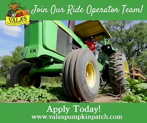 Can you drive a tractor? Want to learn how to drive a train? Our Ride Operators are detail oriented and keep Vala's fun and safe. If this is you, apply today and spend September and October creating Vala's magic! | Vala's Pumpkin Patch