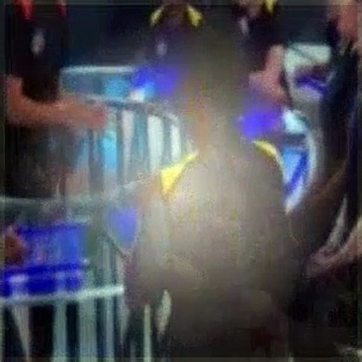 Lab Rats Season 3 Episode 21 First Day of Bionic Academy