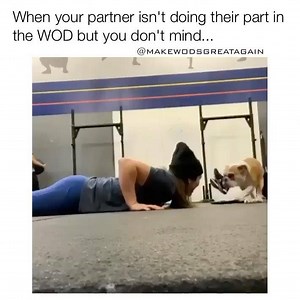 AMRAP of burpee bulldog smoochies... #crossfit #satire #memes #fairuse #muscleup #wod #crossfitgirls #crossfitgames #gymnastics #fitness #fitnessmotivation #gymmemes #workout #crossfitlife #weights #lifting #squats #fit #mobility #olympiclifting #running #wodoftheday #fitfam #makewodsgreatagain #MWGA (thanks to @crossfitellen for the vid) | Wooleymemeth