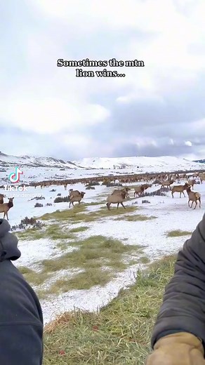 Hunter Nation on Reels