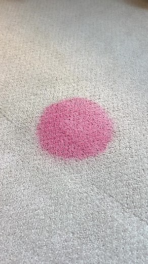 Spot Under the Bed Carpet Patching Service