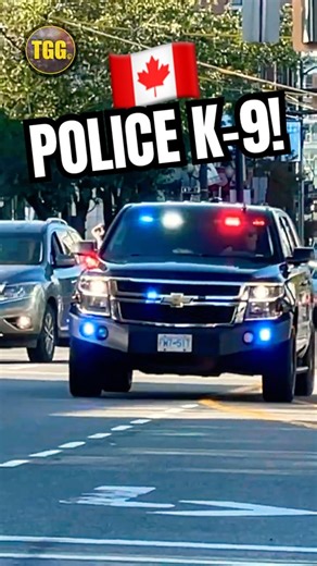 Vancouver Police K-9 Responding!