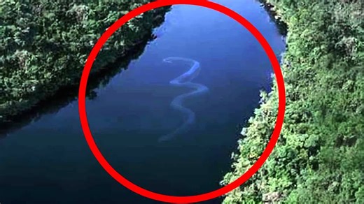 10 Deadliest River Monsters Lurking in the Amazon You Can’t Imagine