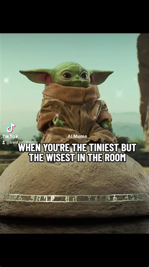 Trent Piddington on TikTok