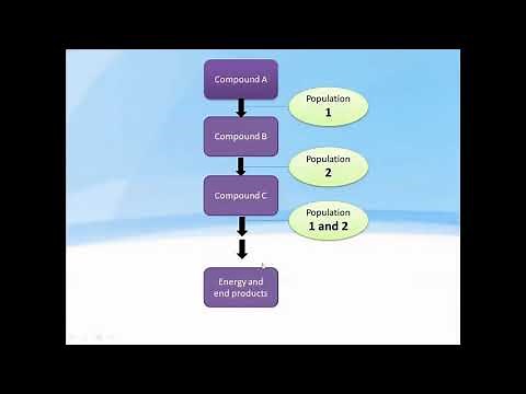 MICROBIAL INTERACTIONS - Positive interactions