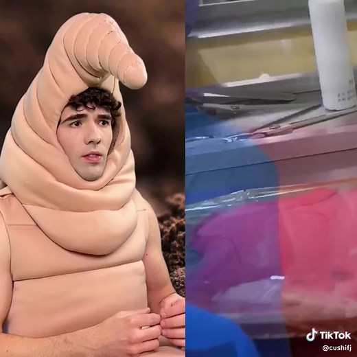 Cutting a Worm in Half: A Closer Look