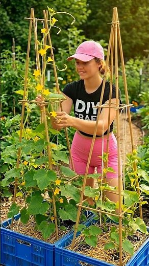 Grow Endless Cucumbers in Crates! 🥒 DIY Bamboo Trellis Garden Tutorial