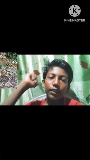 #viral 🔥 judges of content Jagdish Das experiment