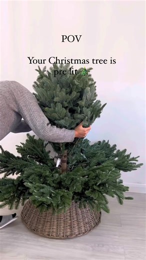 Our Pre-lit Christmas Trees make it easy to skip the hassle and jump straight to the fun. 🎄✨ Get sorted early for a stress-free December! 🛍️: https://bit.ly/3HGPMnc ⁣ Video by: @norfolkavenue⁣ | Balsam Hill UK