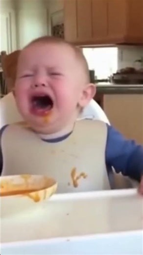 dog eating the baby food