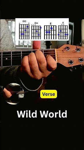 Wild World Cat Stevens Guitar Lesson