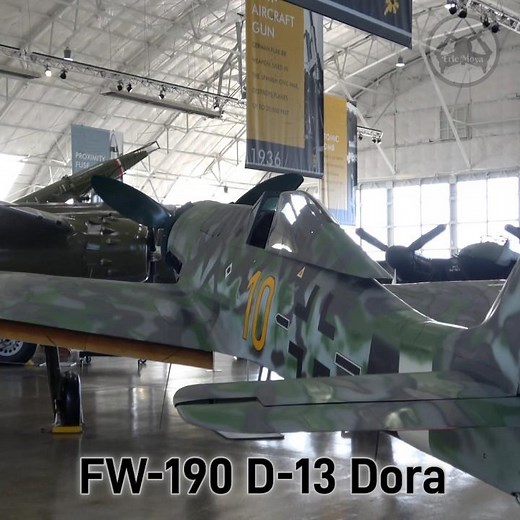 See the Last FW-190 D-13 Dora German World War II Fighter #aviation #military #history