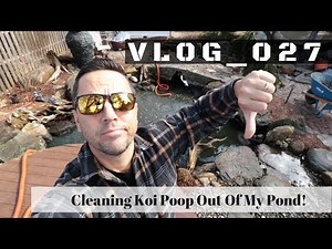 Cleaning Koi Fish Poop Out Of My Pond | VLOG - 027