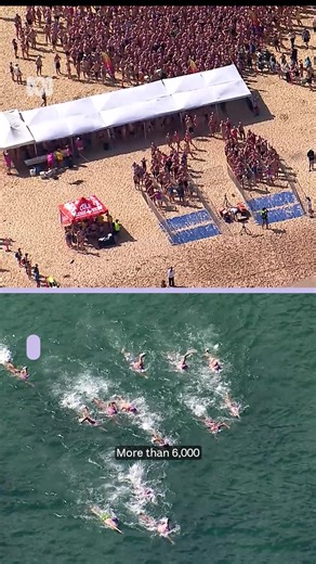 More than 6,000 swimmers took part in Sydney’s Cole Classic starting at Manly Beach on Sunday. Four drones, 12 inflatable rescue boats, five jet skis and three marine rescue boats monitored the clear waters for sharks. The winners in each category, as well individual times, are available on the MultiSport Australia website. 🎙️ Cassandra De Rosa via ABC News NSW 📲 To personalise your news & stay in the know, download the ABC News app via the link in our bio. #Sydney #ColeClassic #Manly #ABCNews