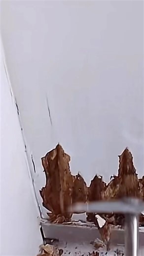 20K views · 22 reactions | Comment remettre en état un rebord de fenêtre abîmé ? #Rénovation #Bricolage #TravauxMaison #RéparationFenêtre #DIY #Astuce #france 泌 | Blog-turquoise67 | Facebook