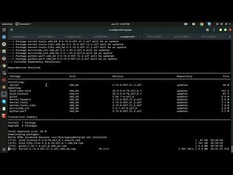 How to Fix Yum Update Error Could not resolve host
