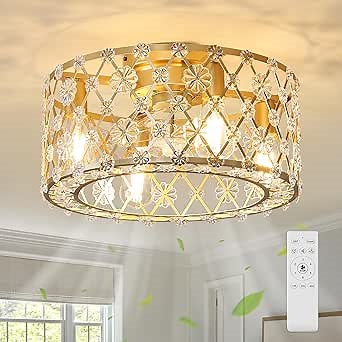 Caged Ceiling Fan with Light: Flush Mount Ceiling Fans Lights with Remote, 6 Speeds, Reversible, Timing, Modern Boho Flower Fandelier Cage Ceiling Fan for Bedroom, Kitchen, Dining Room,18 inch & Gold - Amazon.com