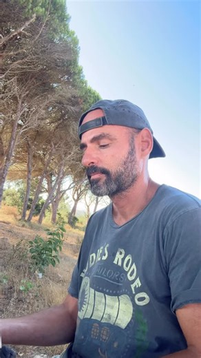 ‘Borrowing’ motivation is not dependency. It is more like BRIDGING A temporary structure you walk across until you can stand on your own ground again. | Gil Alter