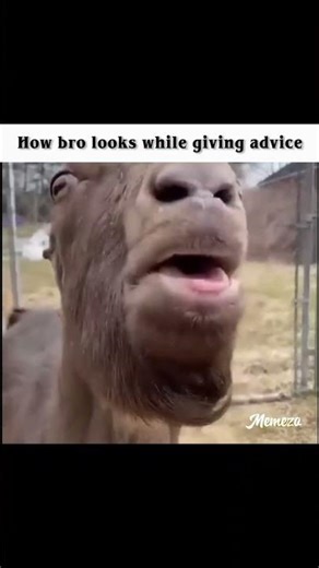 #memes #funny #relatable