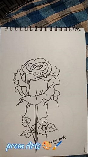 Rose drawing//easy and simple Drawing for Rose //step by step Drawing for Rose flower.