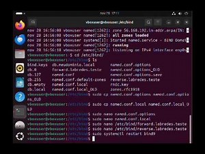 Como criar um servidor DNS usando o Bind9 (Linux), mostrando resolução de nomes personalizada.