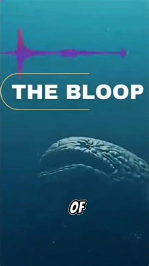 Bloop: The Sound of a Giant Creature from the Deep