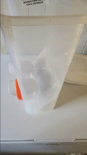 DIY Quail/Chicken Feeder - Make Your Own at Home!