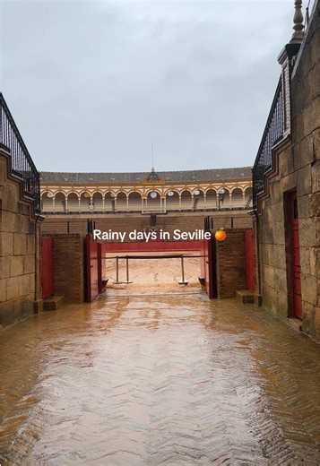 Exploring Seville: Your February Travel Guide