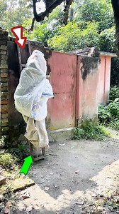 61K views · 475 reactions | Funny hidd boy Whait inside bag / fun with old man home owner ha ha ha  #comedy #comedyvideo #comedyclub #funnyvideos #FunVideo #funnyvideoscomedy #sarkarvai | Sarkar Vai - সরকার ভাই | Facebook